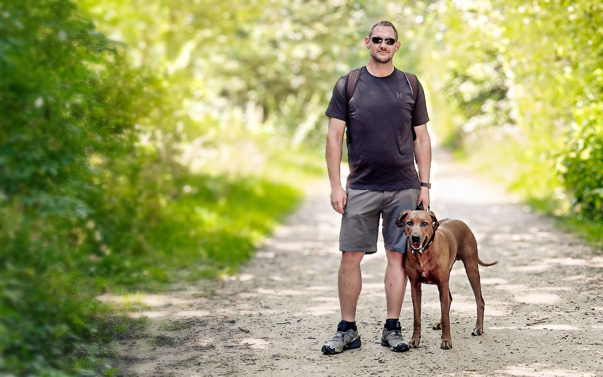 Focus K9 Header Trainer mit Hund