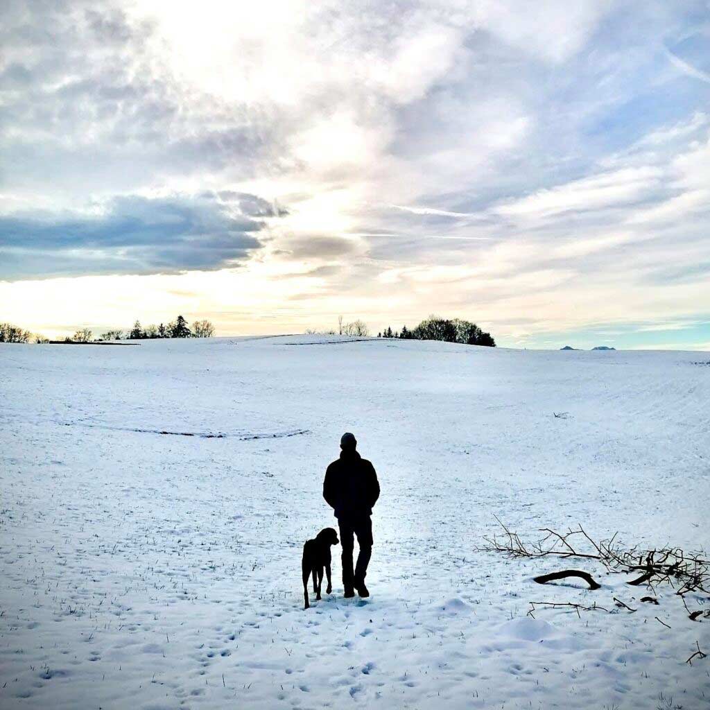 Hundetraining Spaziergang in Bad Ischl, Salzkammergut