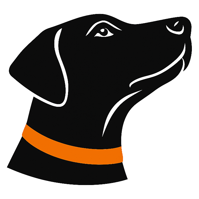 Focus K9. Individuelles Hundetraining im Salzkammergut, Salzburg und Wien.