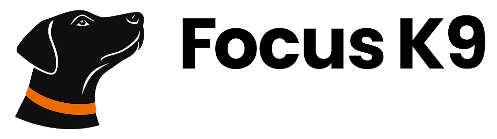 Hund blickt fokussiert auf das Logo von FocusK9