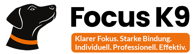 Hund blickt fokussiert auf das Logo von FocusK9