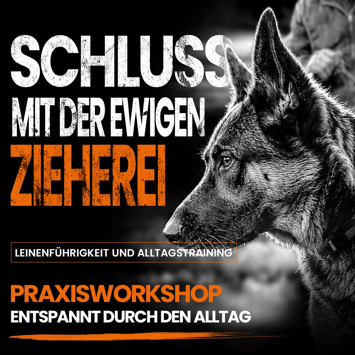 Schluss mit der Zieherei