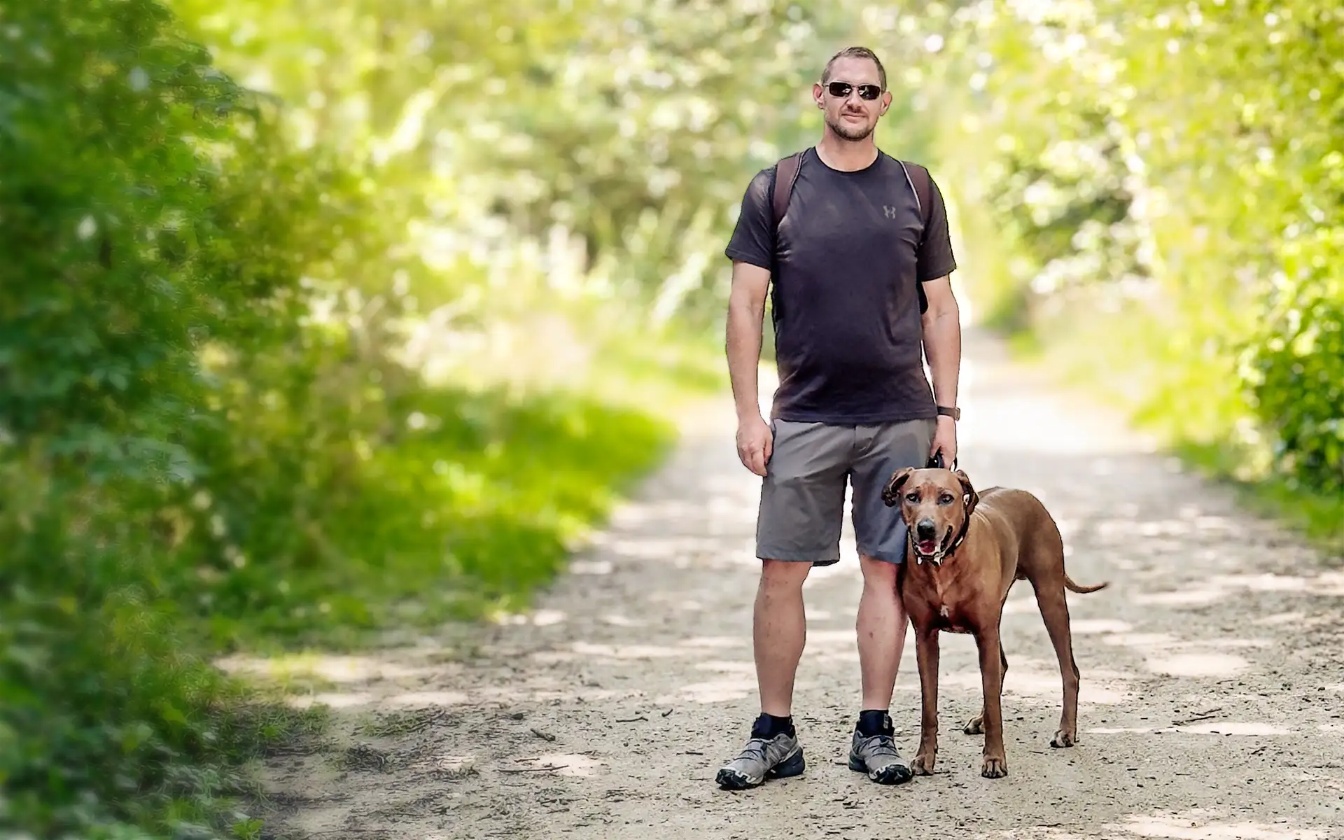 Focus K9 Header Trainer mit Hund