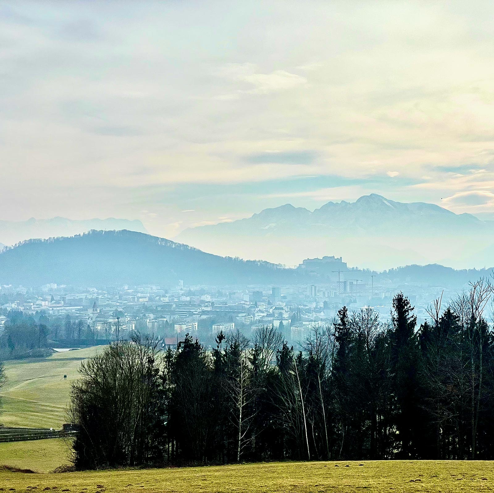 Focus K9 Hundetraining in Salzburg Bergheim