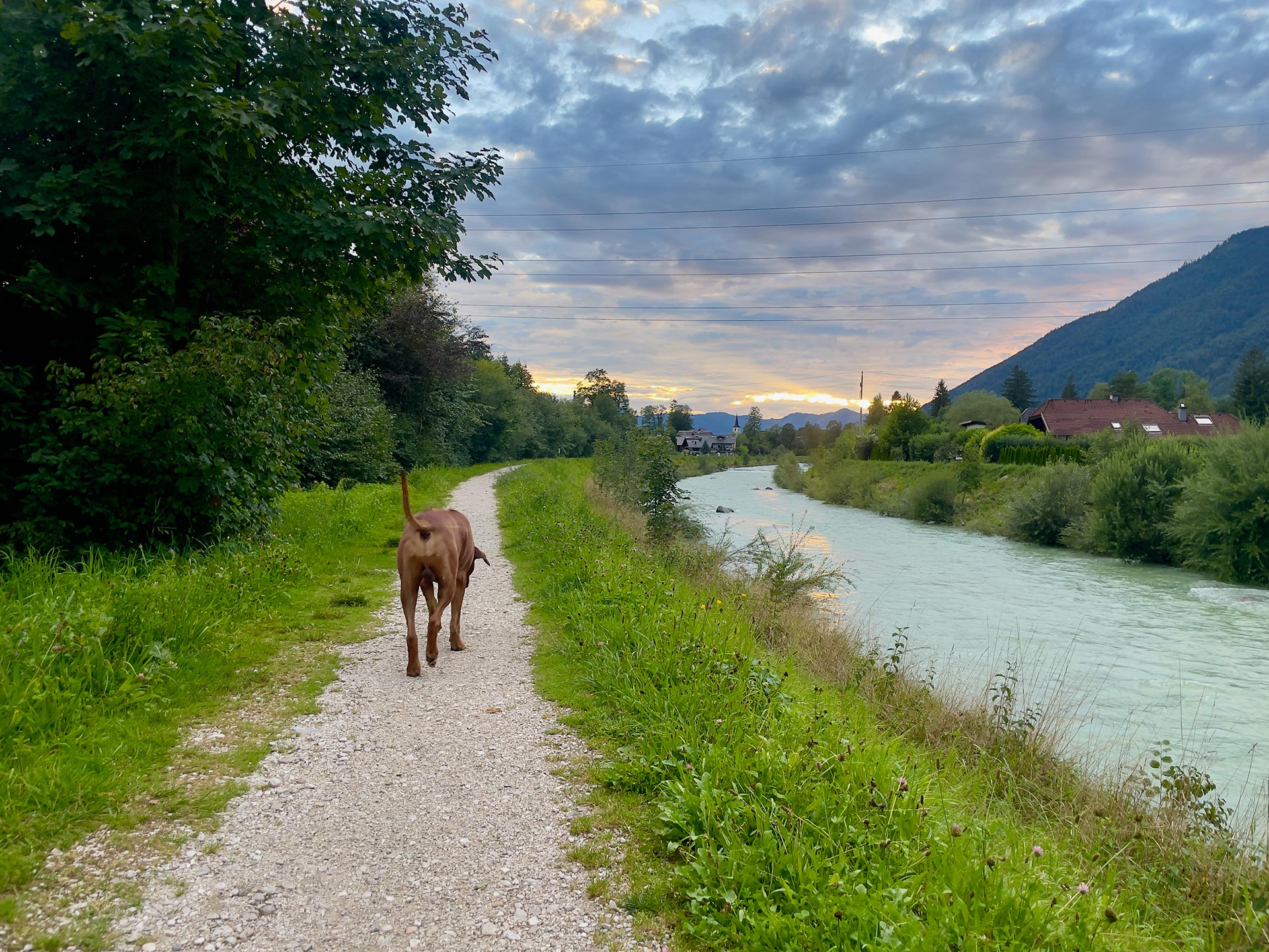 Focus K9 Hundetraining in Bad Ischl am Dammweg